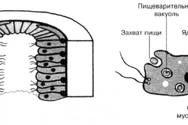 Кракен ссылка зайти