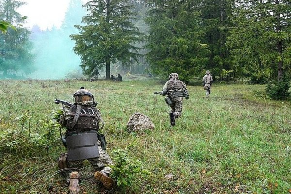 Как восстановить кракен