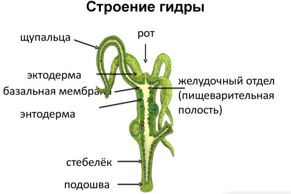Зеркало кракен
