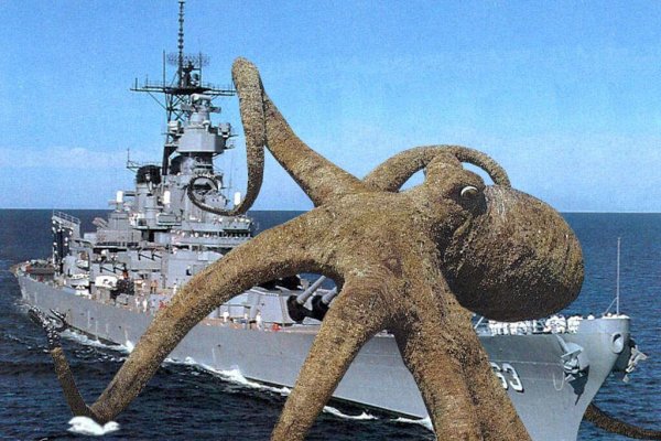 Kraken рынок